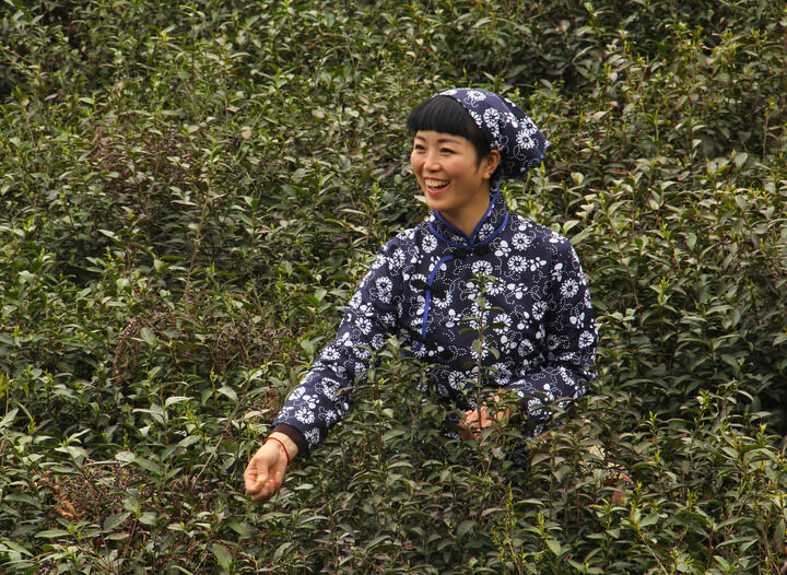 更新5